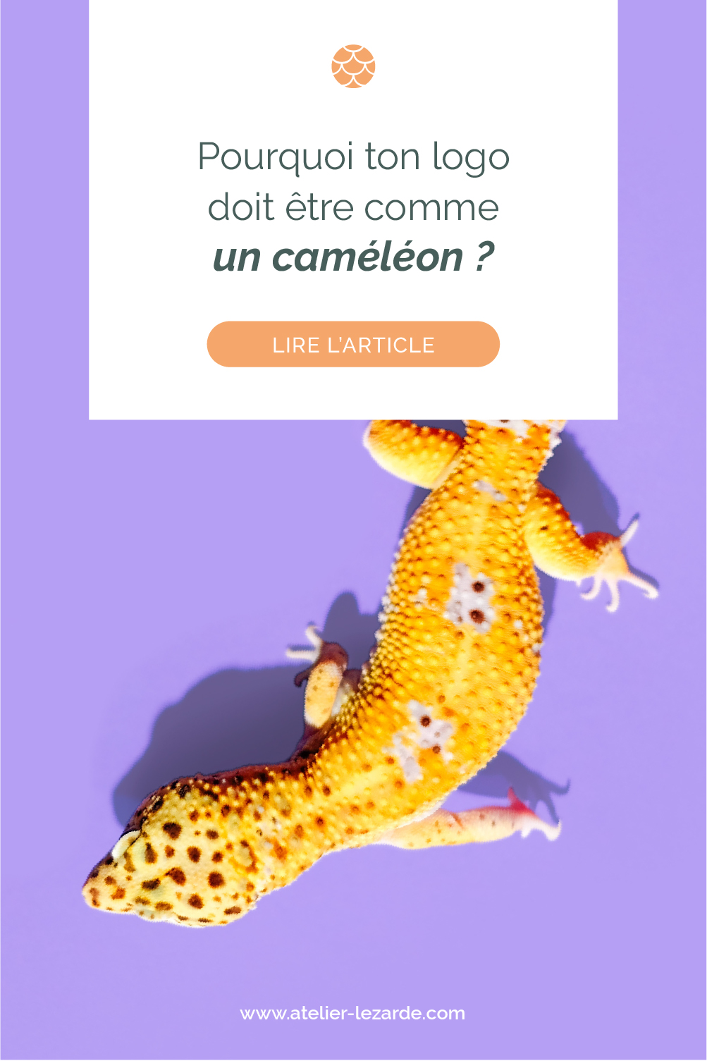 Pourquoi ton logo doit être comme un caméléon ?